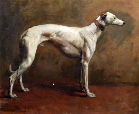 Heywood Hardy (1842-1933) Portrait of a champion greyhound 11.75 x 13.75in.